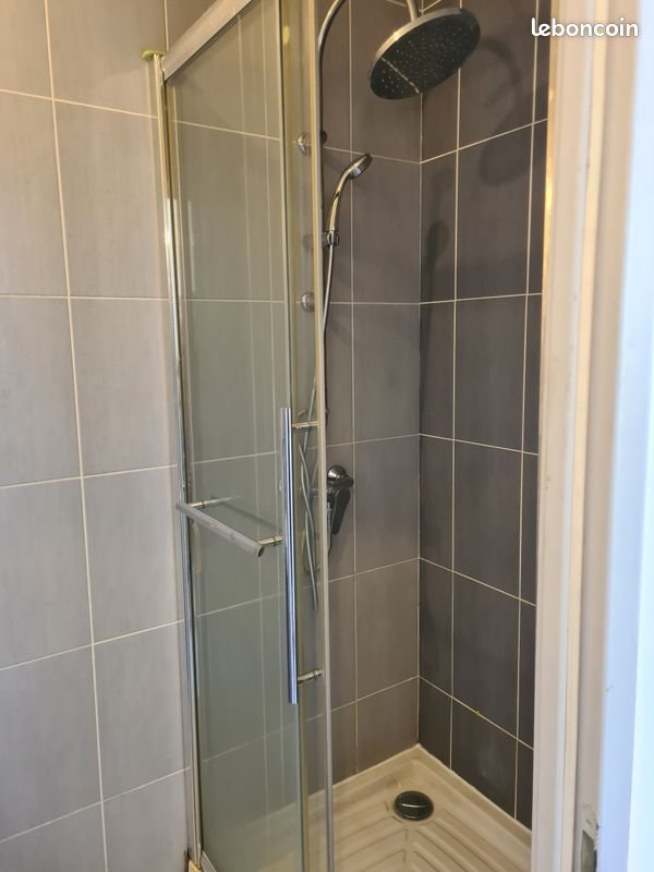 Appartement à louer, 30m², Saint-Etienne
