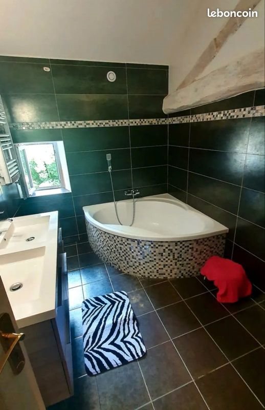 Maison à louer, 220m², Pont-du-Casse