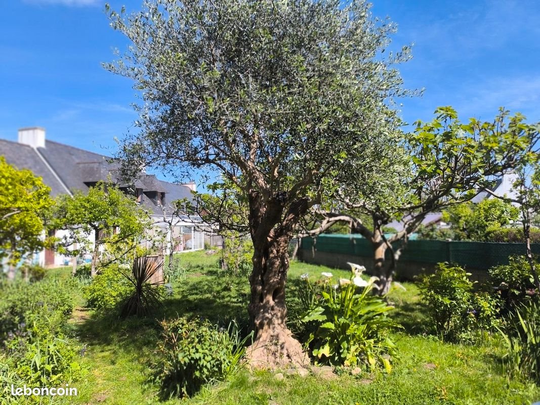 Maison à vendre, 100m², Concarneau