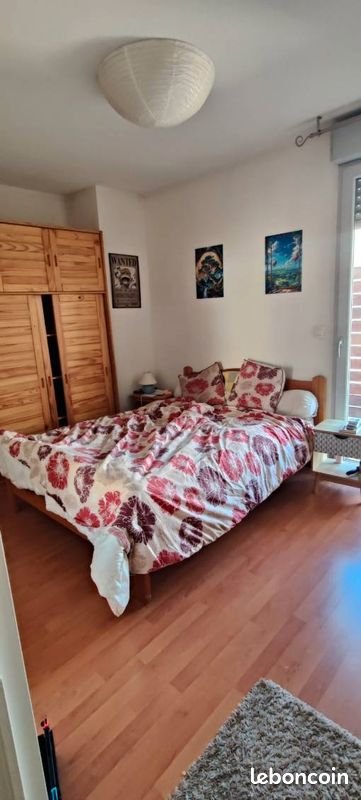 Appartement à louer, 53m², Saint-Étienne