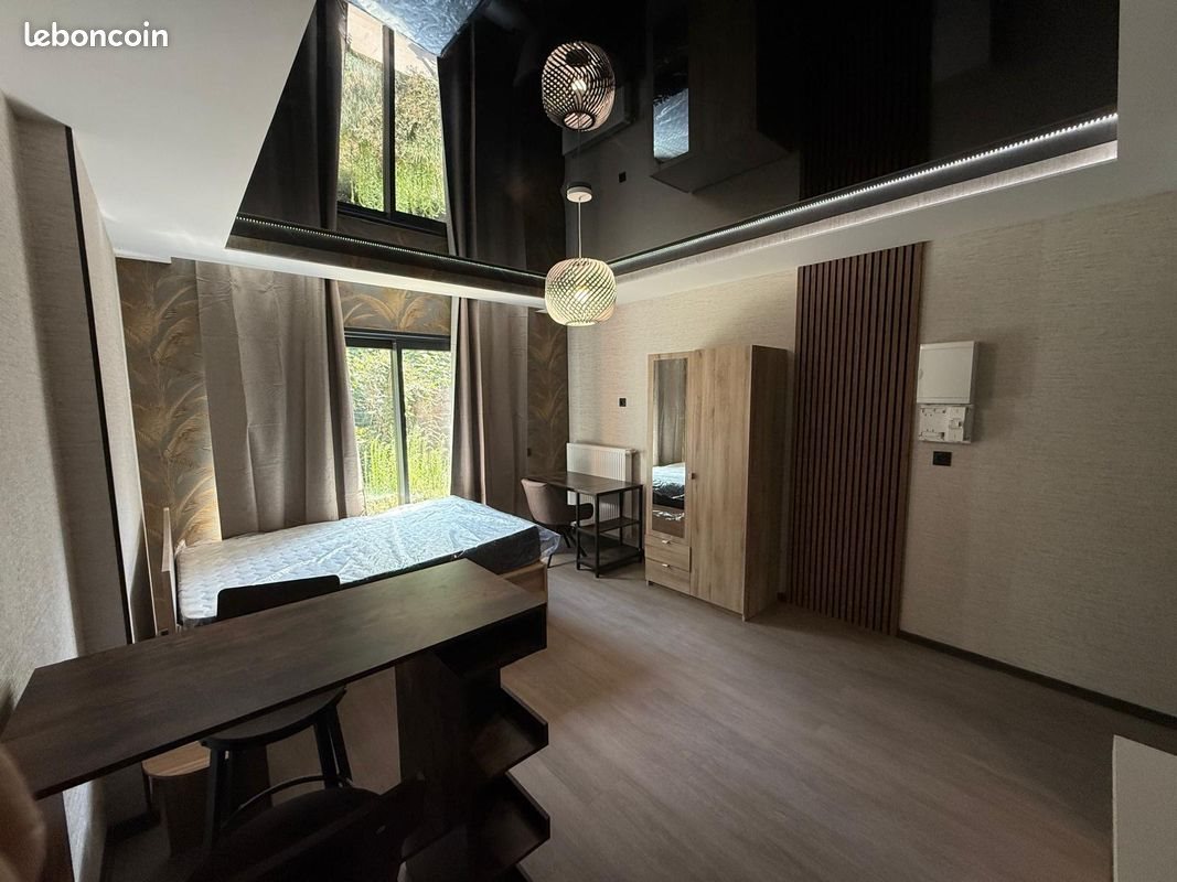 Appartement à louer, 21m², Villeurbanne