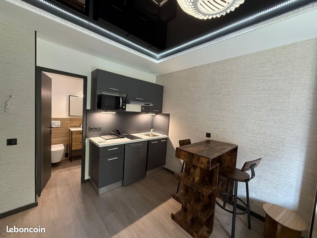 Appartement à louer, 21m², Villeurbanne