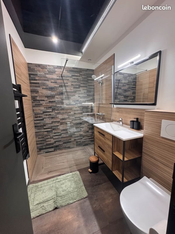 Appartement à louer, 21m², Villeurbanne