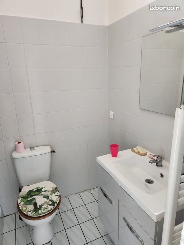 Appartement à louer, 45m², Castres