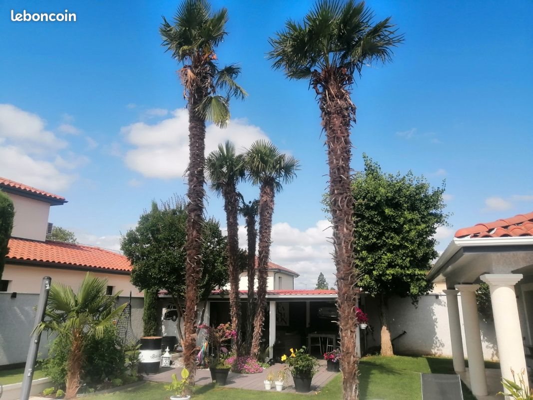 Maison à vendre, 96m², Saint-Priest