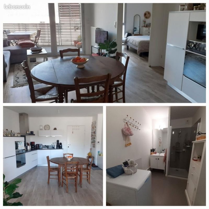Appartement à vendre, 43m², Vertou