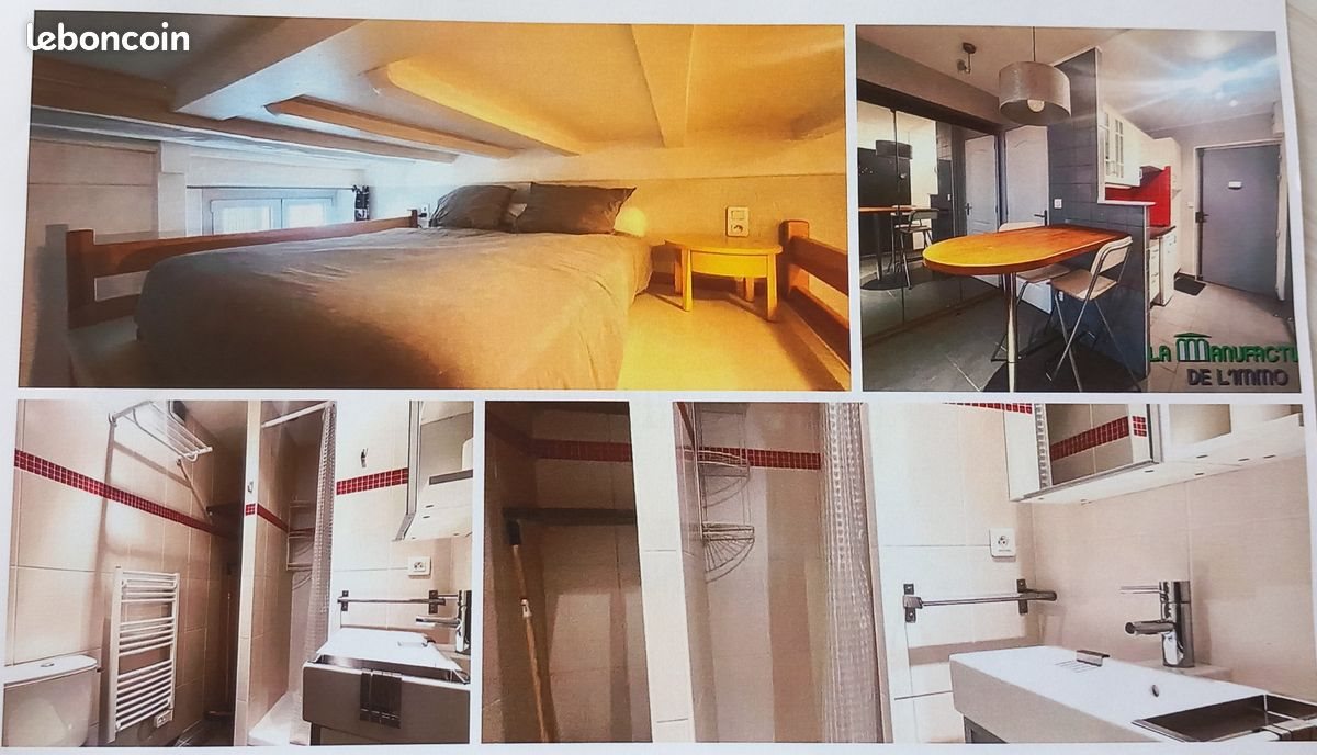 Appartement à louer, 22m², Saint-Etienne