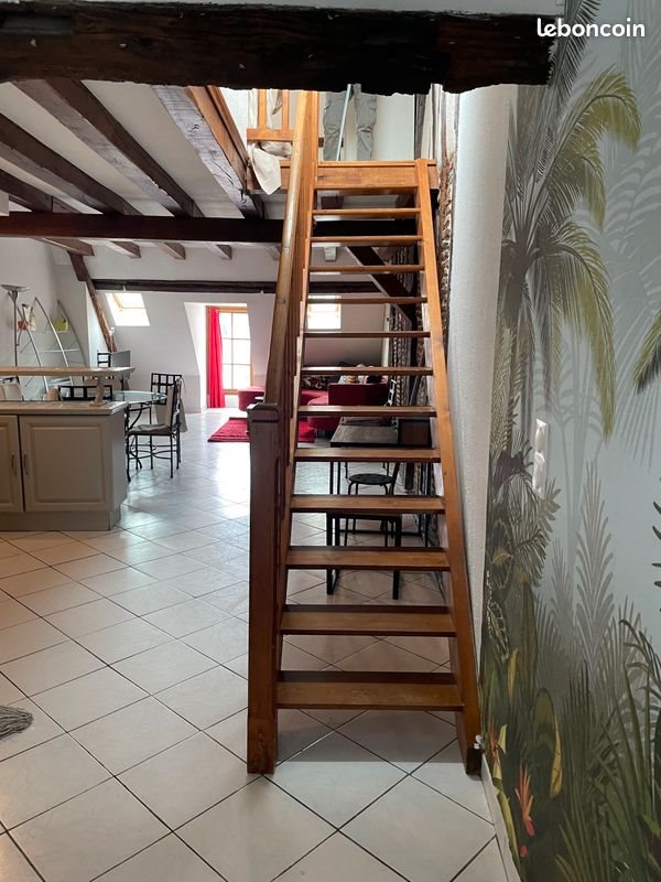 Appartement à louer, 50m², Tours
