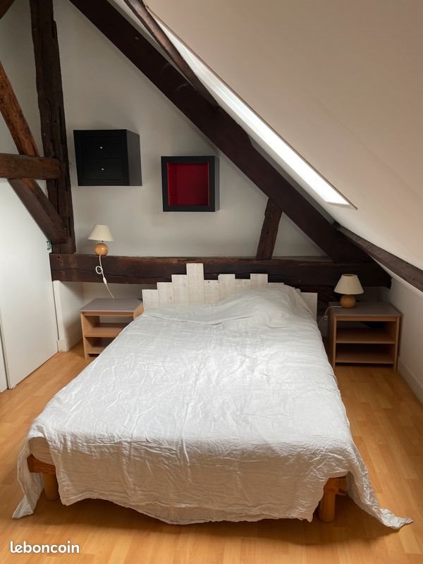 Appartement à louer, 50m², Tours
