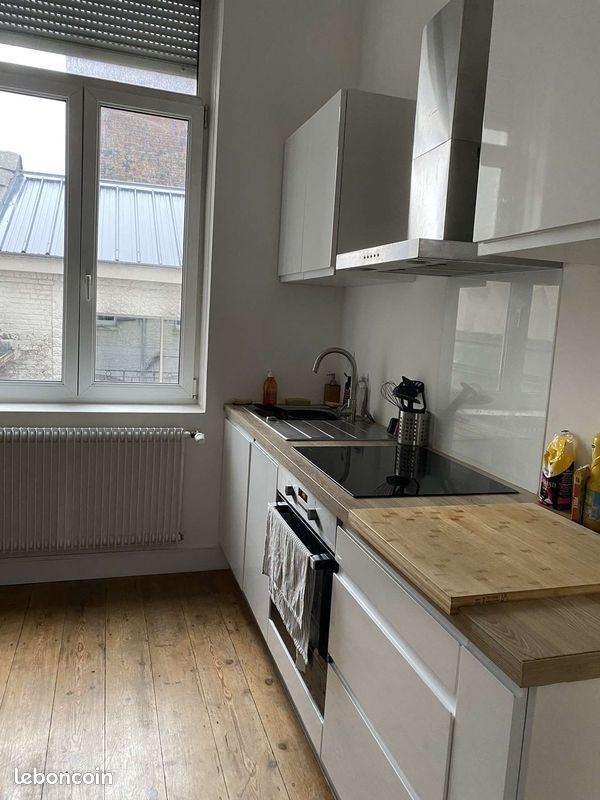 Appartement à louer, 49m², Lille
