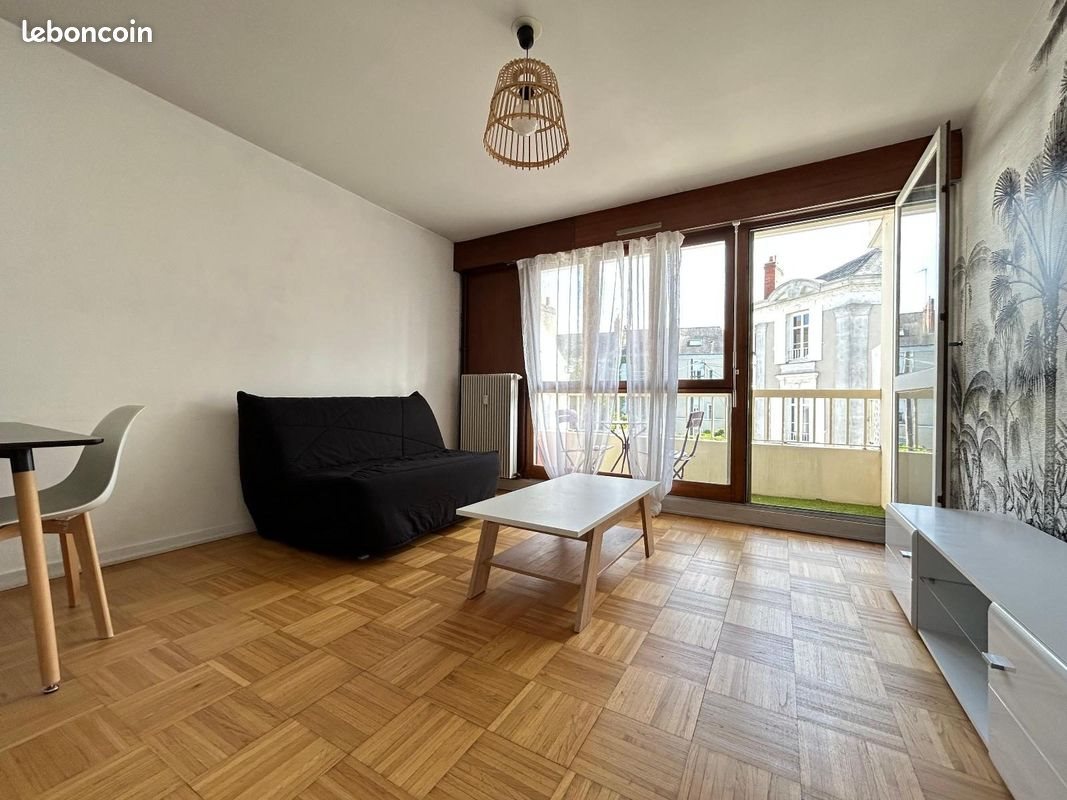 Appartement à louer, 30m², Angers