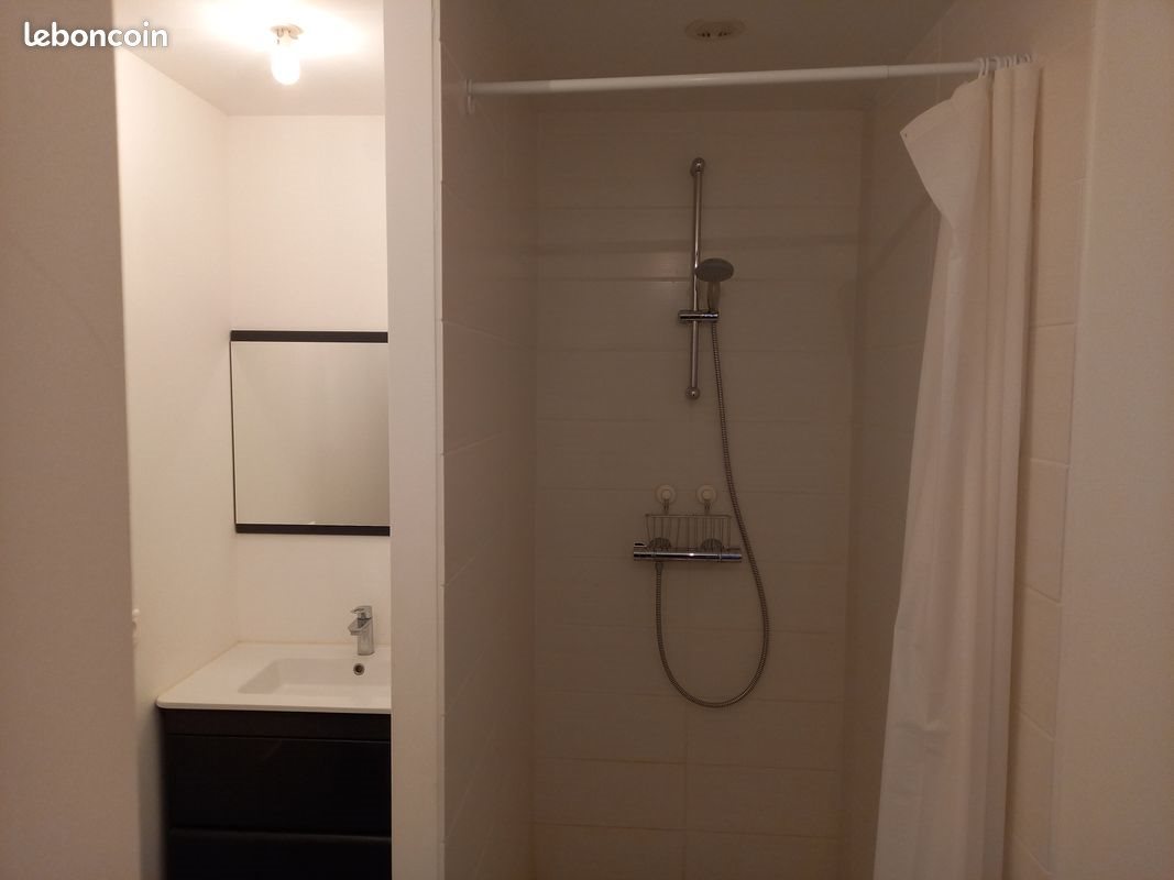 Appartement à louer, 30m², Saint-Etienne