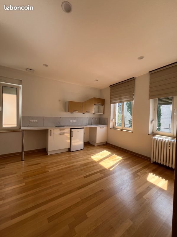 Appartement à louer, 48m², Strasbourg