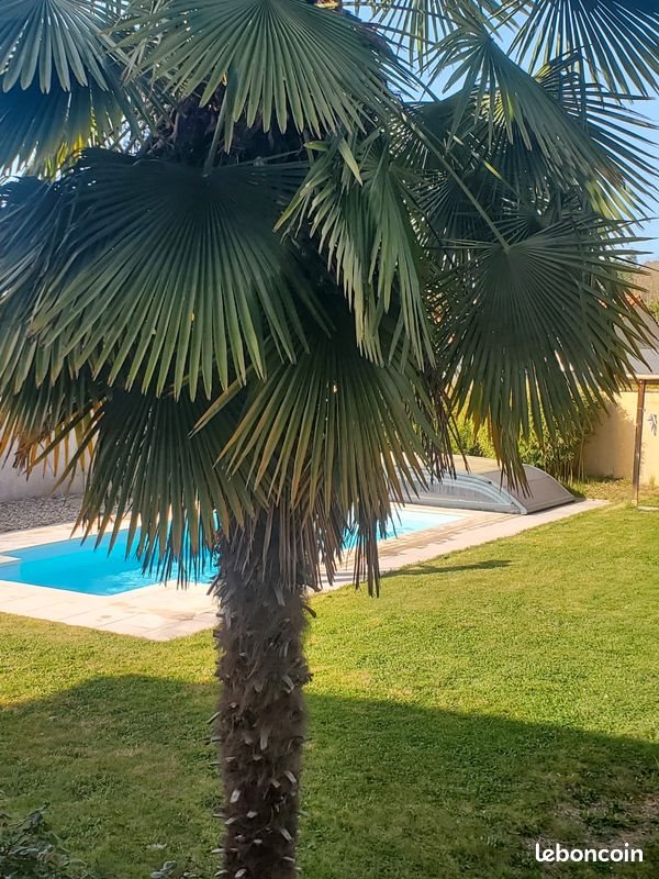 Maison à vendre, 269m², Trélissac