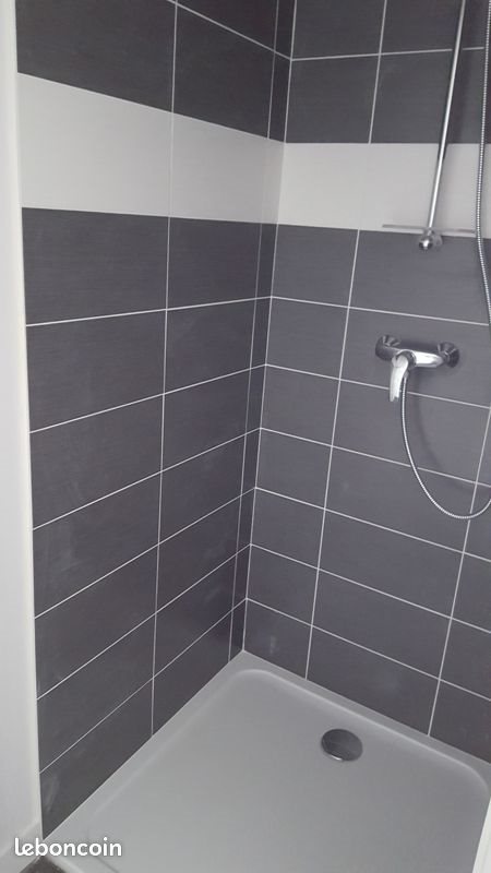 Appartement à louer, 30m², Nancy