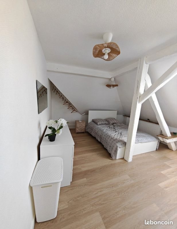 Appartement à louer, 44m², Metz