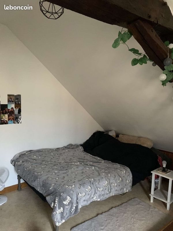 Appartement à louer, 32m², Chinon