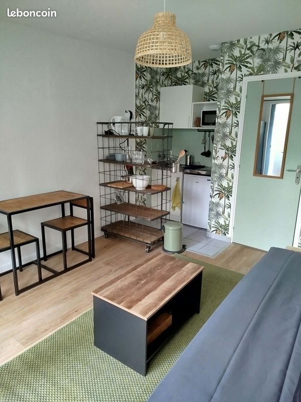 Appartement à louer, 19m², Tours