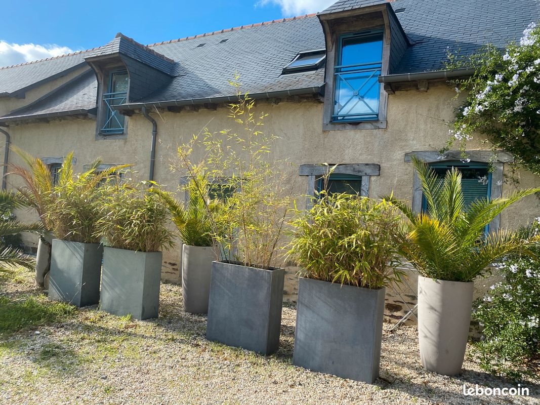 Appartement à louer, 69m², Vern-sur-Seiche