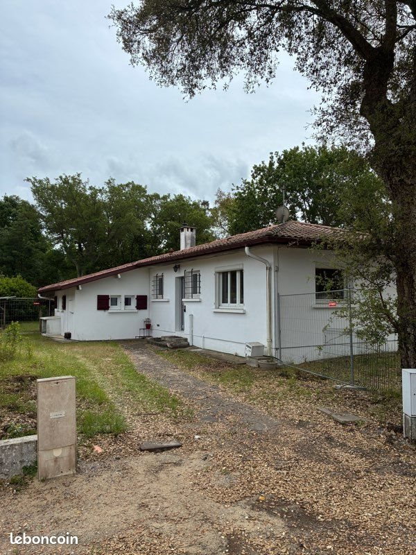 Maison à louer, 95m², Labenne