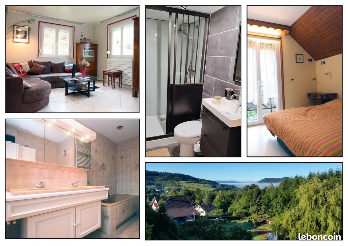Maison à vendre, 320m², Saint-Dié-des-Vosges