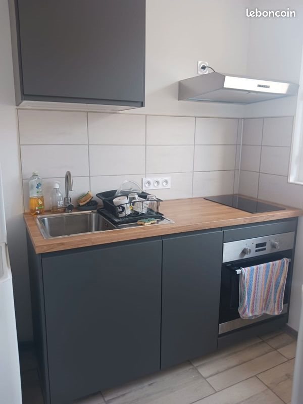 Appartement à louer, 37m², Mende