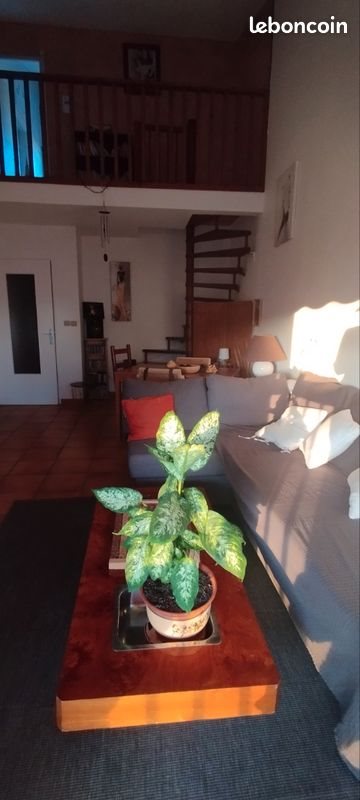 Appartement à louer, 57m², Carqueiranne