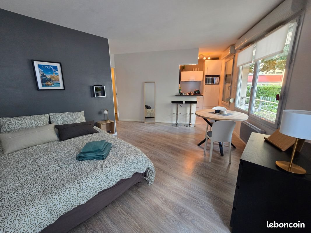 Appartement à louer, 30m², Villeurbanne