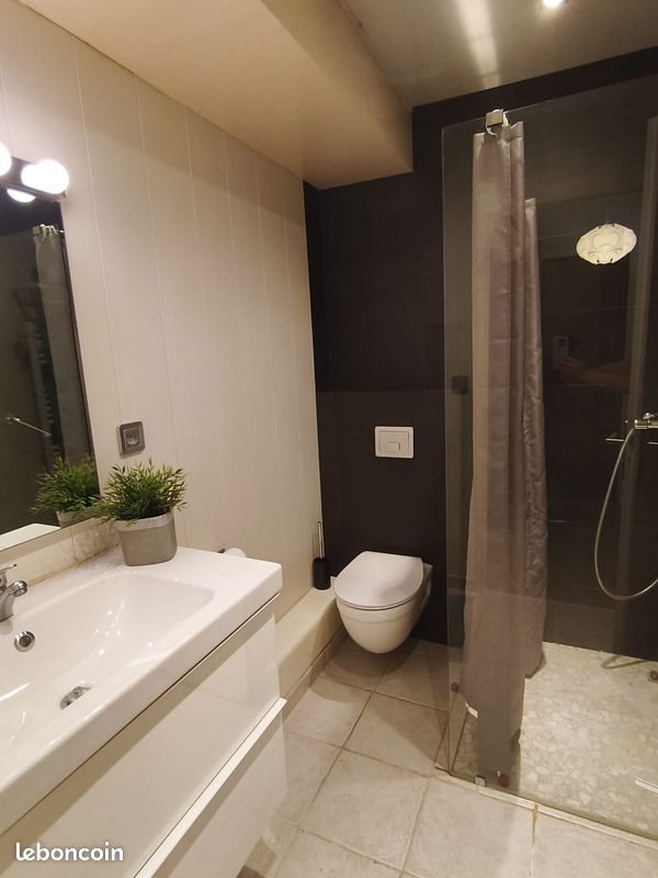 Appartement à louer, 30m², Villeurbanne