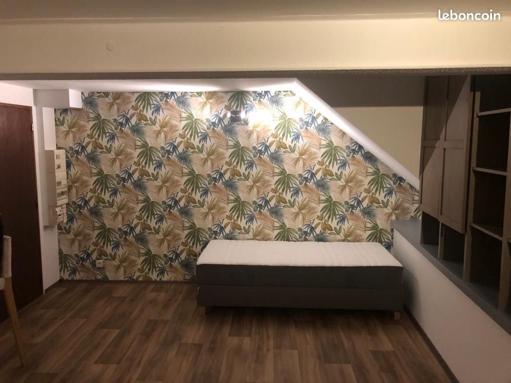 Appartement à louer, 29m², Schiltigheim