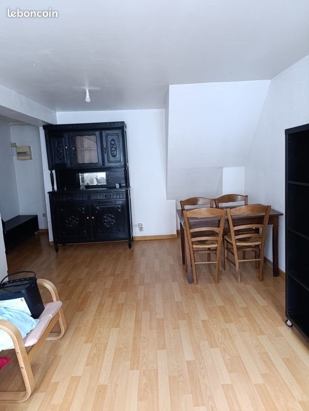 Appartement à louer, 56m², Lille