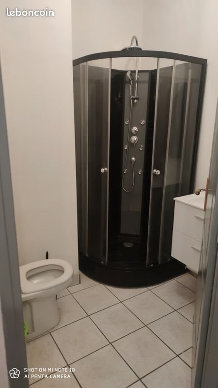 Appartement à louer, 19m², Saint-Etienne