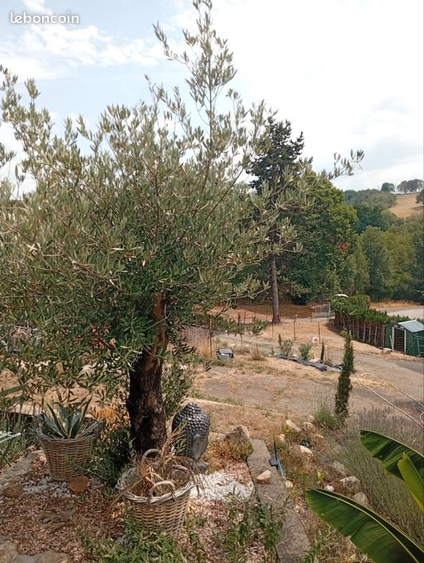 Maison à vendre, 200m², Aubusson