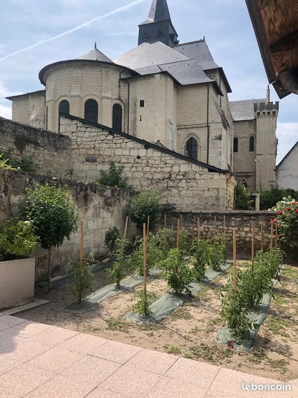 Maison à vendre, 270m², Candes-Saint-Martin