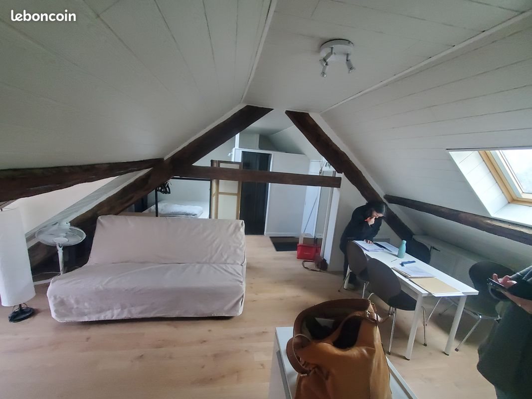 Appartement à louer, 20m², Mende