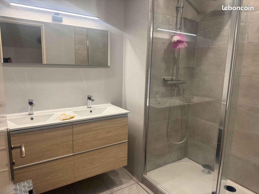 Appartement à louer, 79m², Saint-Etienne