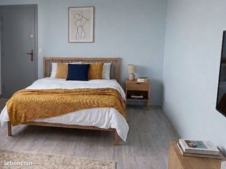 Appartement à louer, 34m², Saint-Étienne