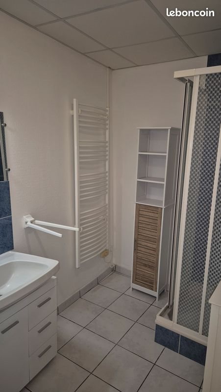 Appartement à louer, 43m², Châtel-Guyon