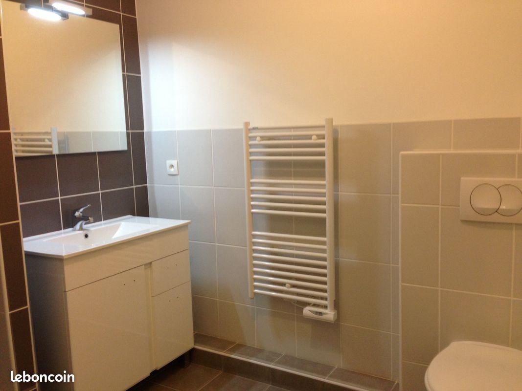 Appartement à louer, 46m², Saint-Étienne