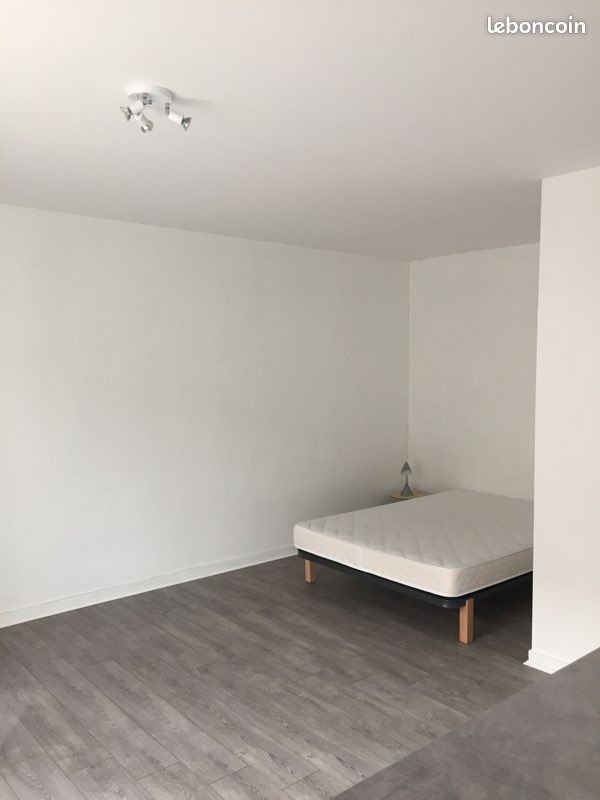Appartement à louer, 35m², Saint-Étienne