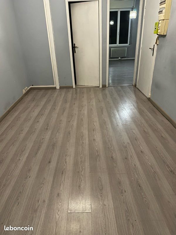 Appartement à louer, 50m², Lille