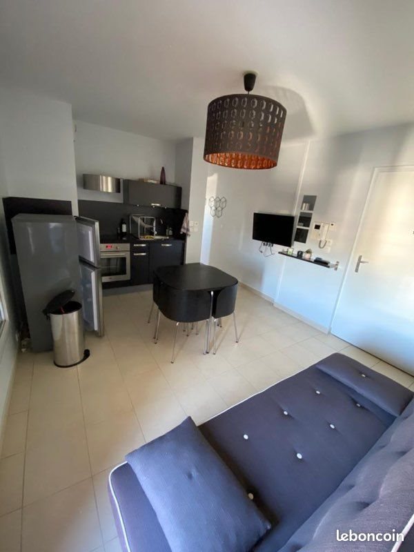 Appartement à louer, 31m², Lyon 7ème