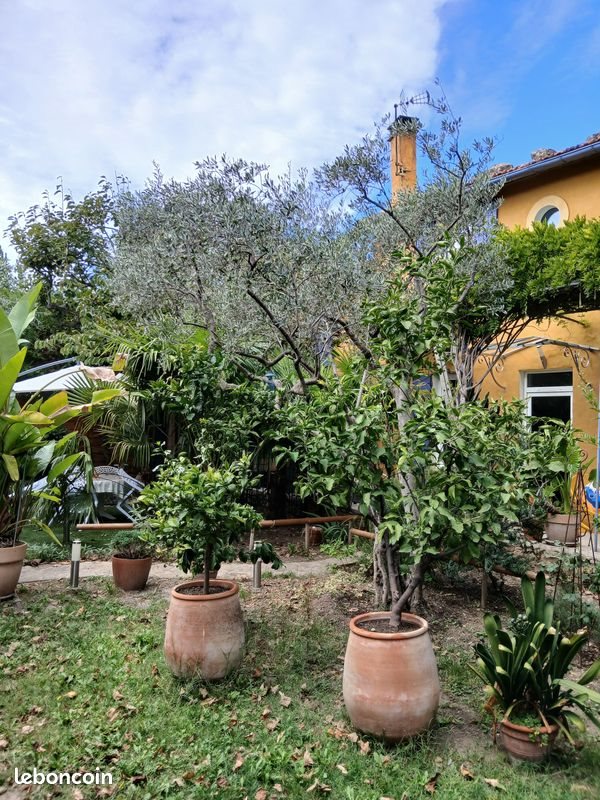 Maison à vendre, 148m², Carpentras
