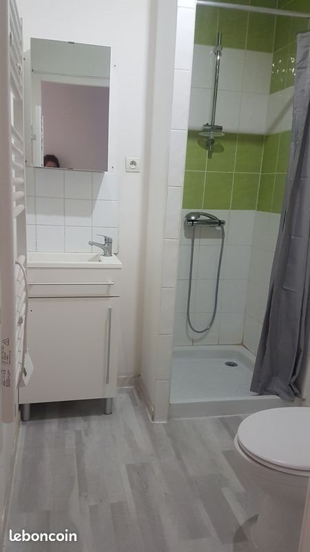 Appartement à louer, 32m², Saint-Etienne