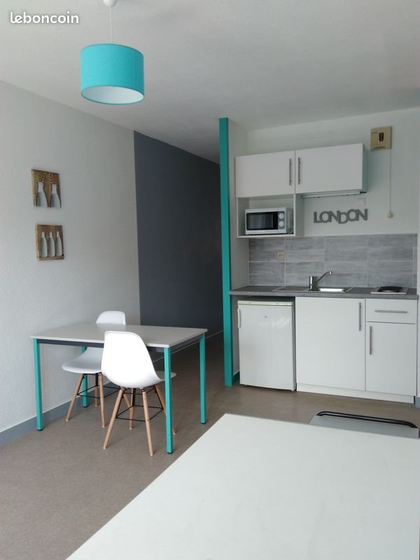 Appartement à louer, 30m², Saint-Etienne