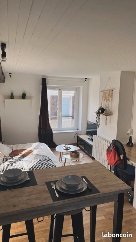 Appartement à louer, 29m², Nancy