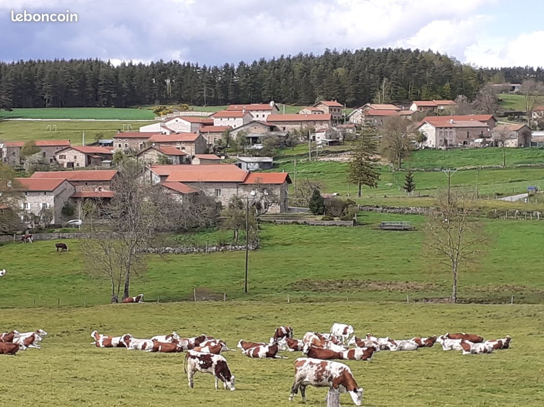 Maison à louer, 160m², Usson-en-Forez