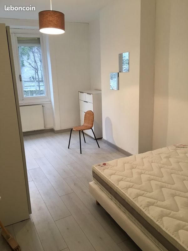 Appartement à louer, 46m², Saint-Étienne