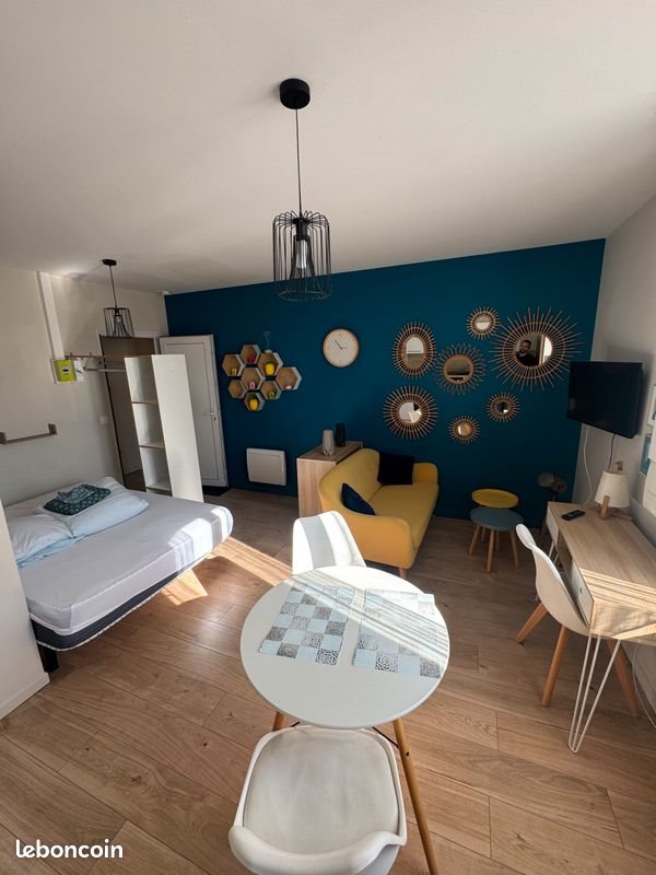 Appartement à louer, 25m², Saint-Etienne