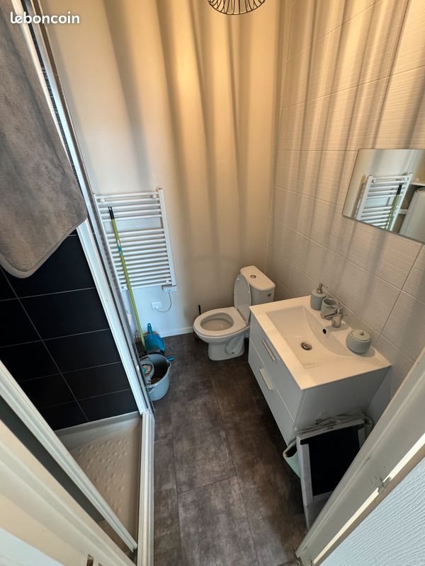 Appartement à louer, 25m², Saint-Etienne